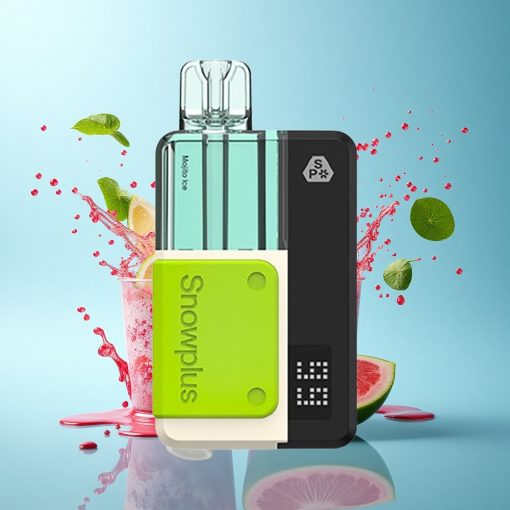 Snowplus Swift 5000 Puffs Мохито Леден 1000 mAh Dual Mesh